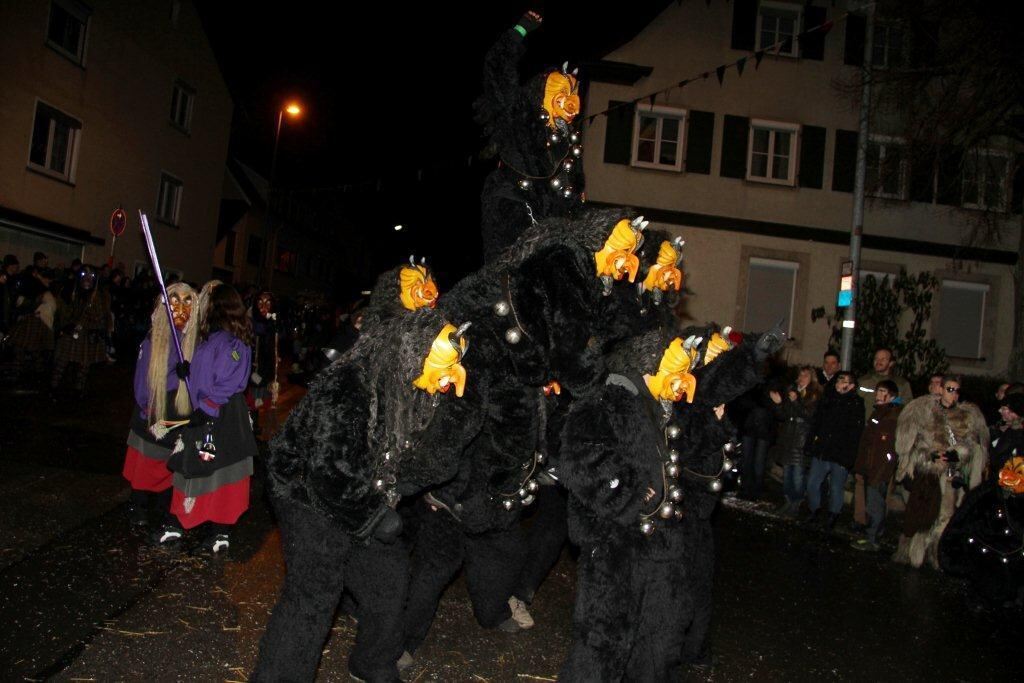 Wilde Weiber Nachtumzug in Wannweil 2013
