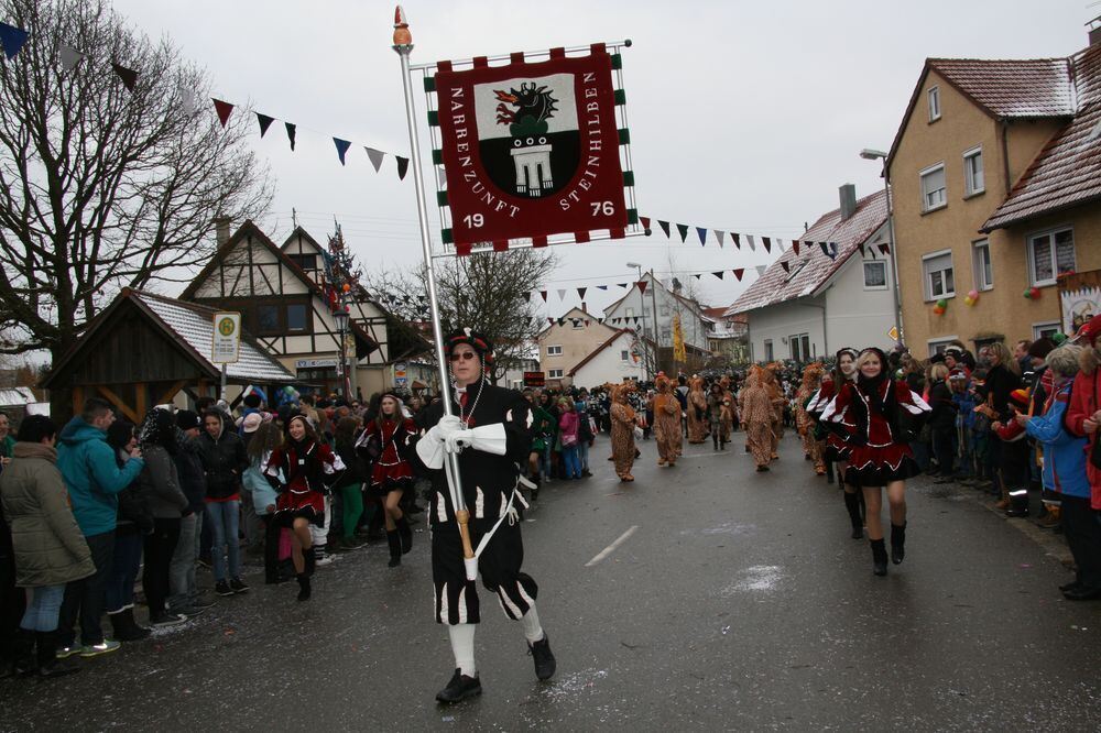 Narrenumzug Oberstetten Februar 2013