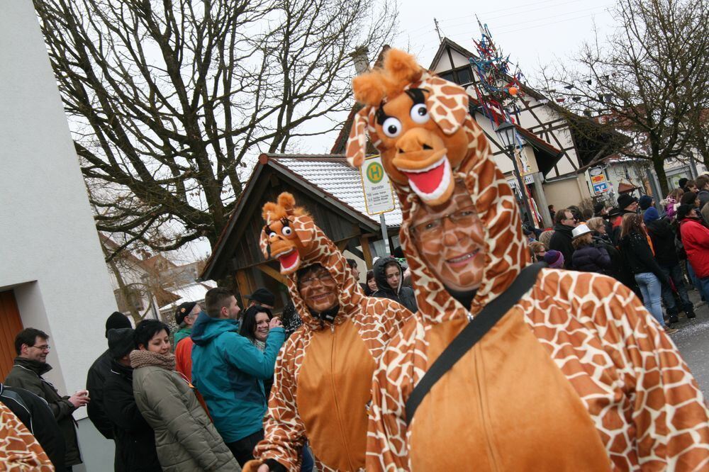 Narrenumzug Oberstetten Februar 2013