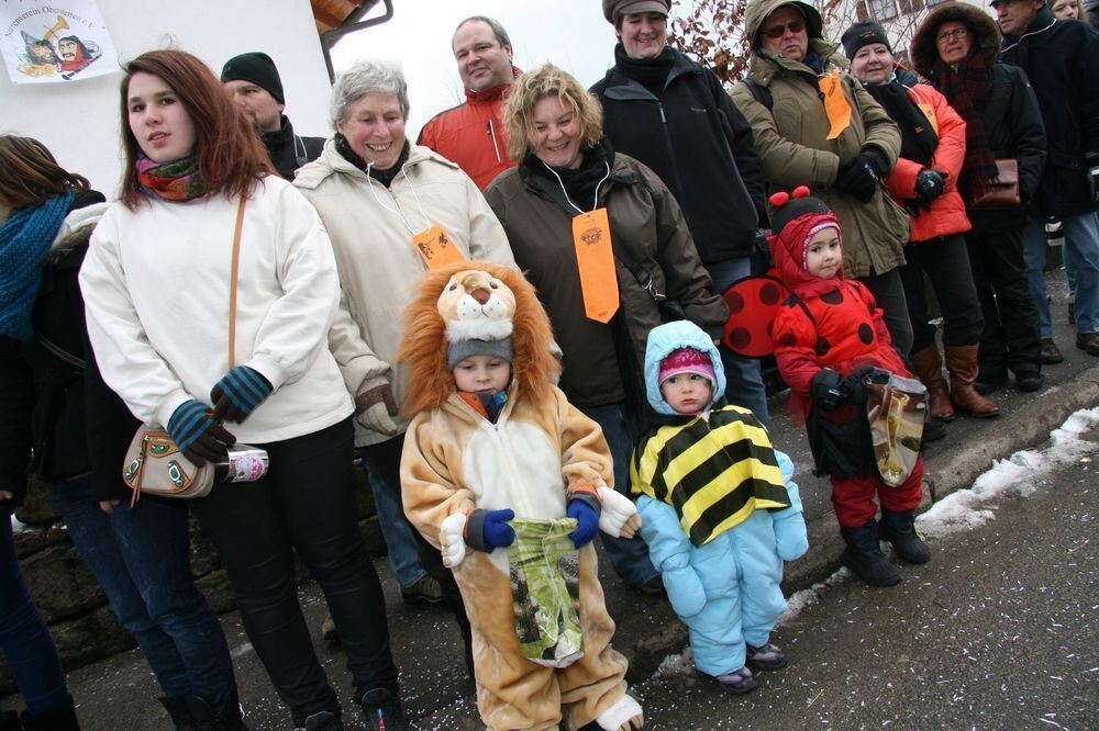 Narrenumzug Oberstetten Februar 2013