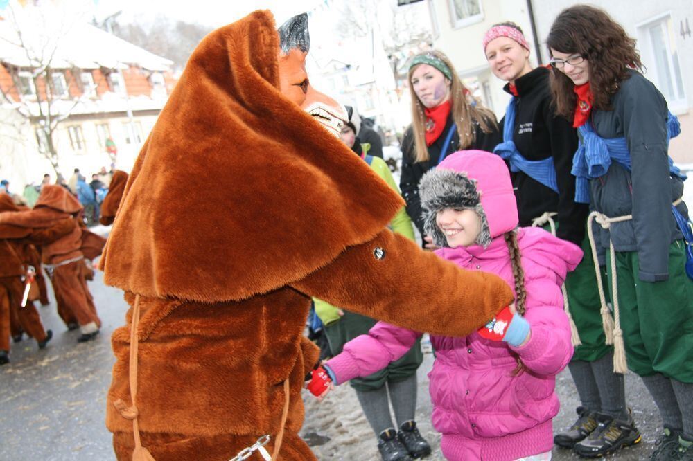Fasnetsumzug in Trochtelfingen Februar 2013