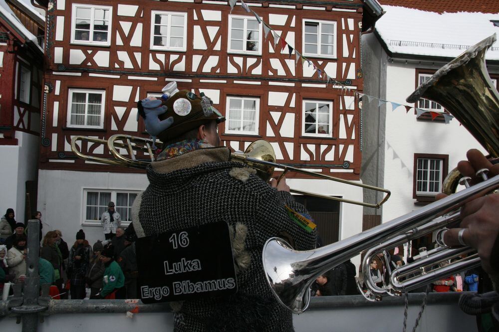 Fasnetsumzug in Trochtelfingen Februar 2013