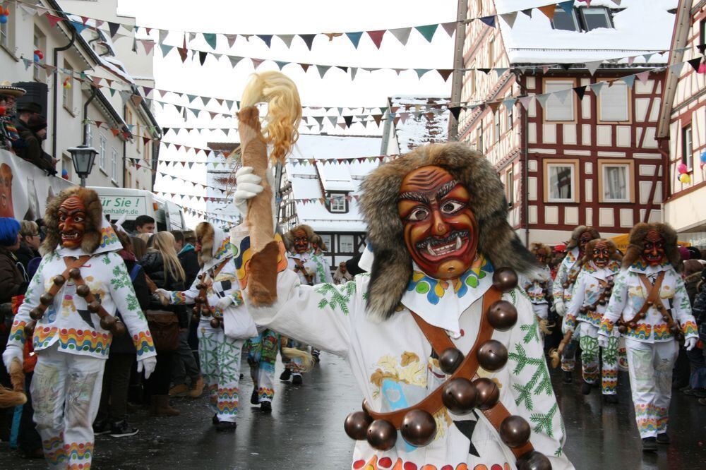 Fasnetsumzug in Trochtelfingen Februar 2013