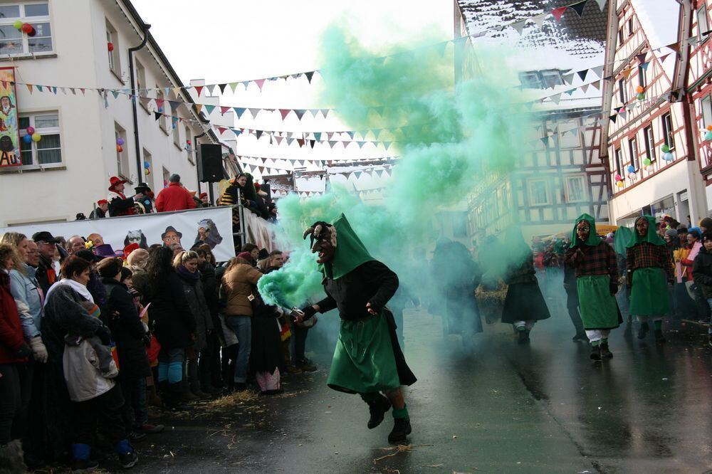 Fasnetsumzug in Trochtelfingen Februar 2013