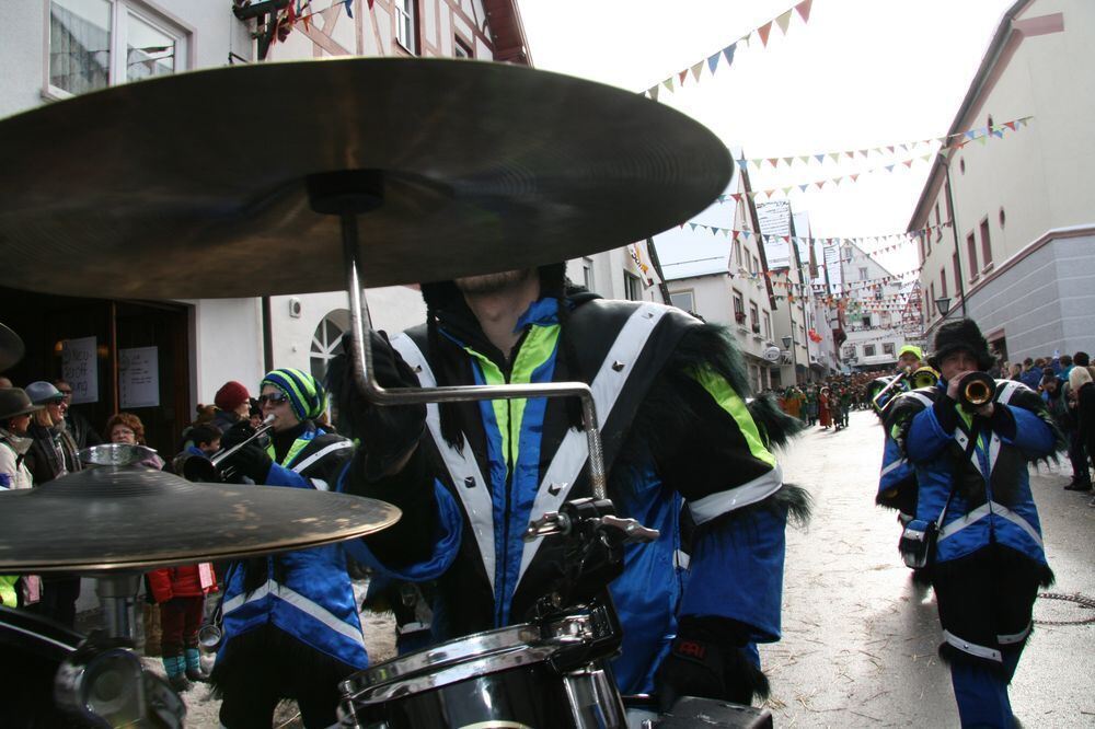 Fasnetsumzug in Trochtelfingen Februar 2013