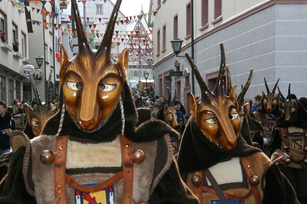 Fasnetsumzug in Trochtelfingen Februar 2013