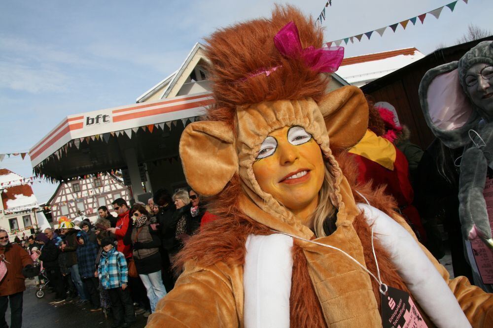 Fasnetsumzug in Trochtelfingen Februar 2013