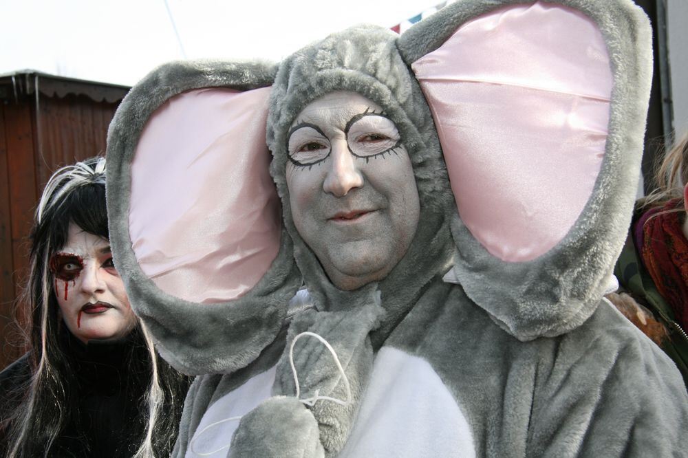 Fasnetsumzug in Trochtelfingen Februar 2013