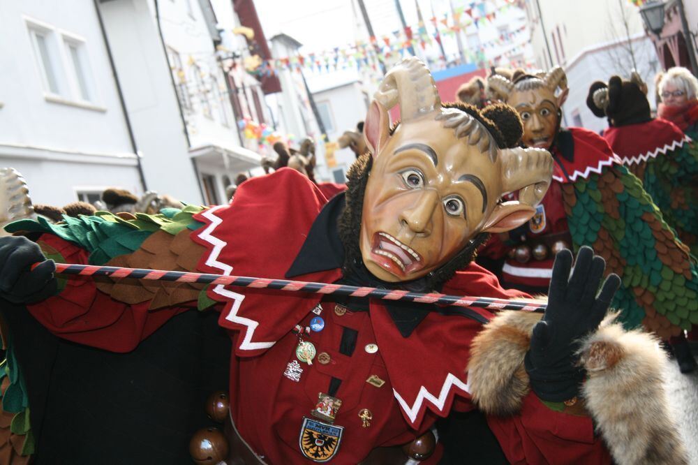 Fasnetsumzug in Trochtelfingen Februar 2013