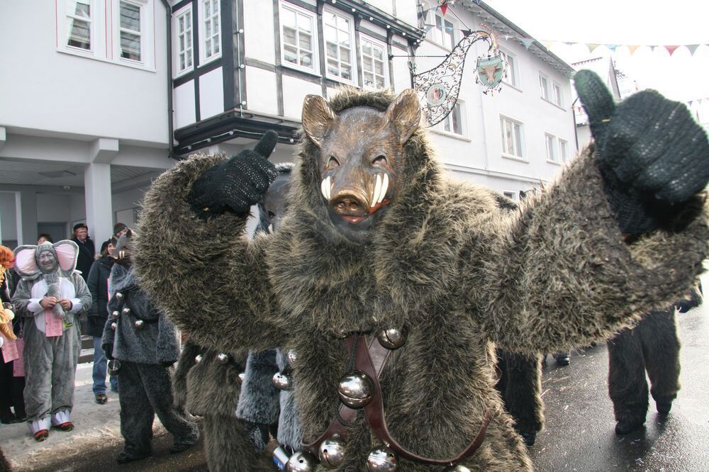 Fasnetsumzug in Trochtelfingen Februar 2013