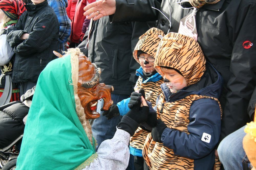 Fasnetsumzug in Trochtelfingen Februar 2013