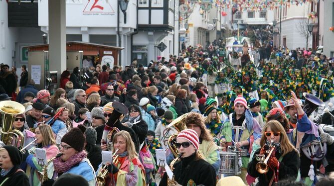 Fasnetsumzug in Trochtelfingen Februar 2013 Fasnetsumzug in Trochtelfingen Februar 2013