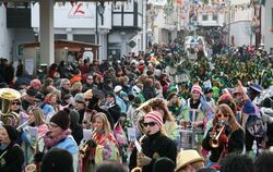 Fasnetsumzug in Trochtelfingen Februar 2013