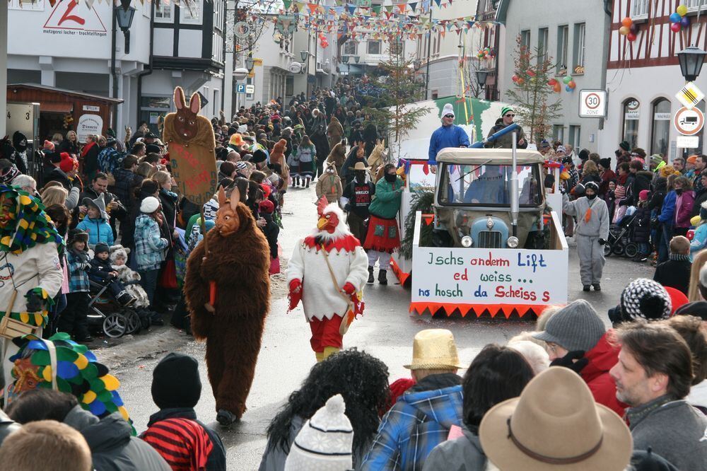 Fasnetsumzug in Trochtelfingen Februar 2013