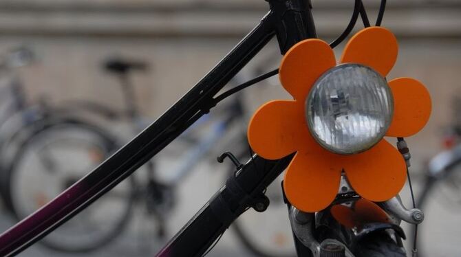 Ein Rad zu besitzen, macht mobil. Kinder aus sozial schwachen Familien können bei einer Aktion ein gebrauchtes Exemplar kostenlo