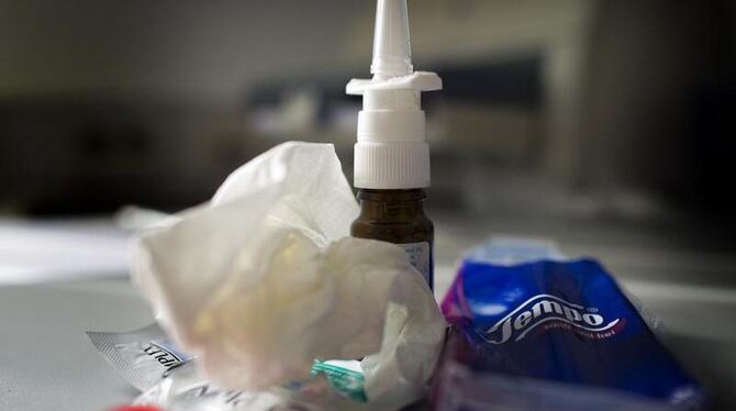 Lieber Niesen als Impfen: Nur jeder dritte Bundesbürger lässt sich regelmäßig gegen Grippe impfen. Foto: Arno Burgi/Archiv