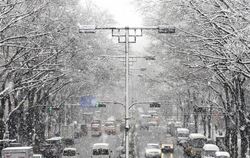 Heftiger Schneefall über Tokio. Im Norden des Landes kosteten die schweren Schneefälle mindestens acht Menschen das Leben. Fo