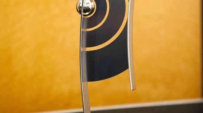 Echo-Trophäe. Foto: Michael Kappeler