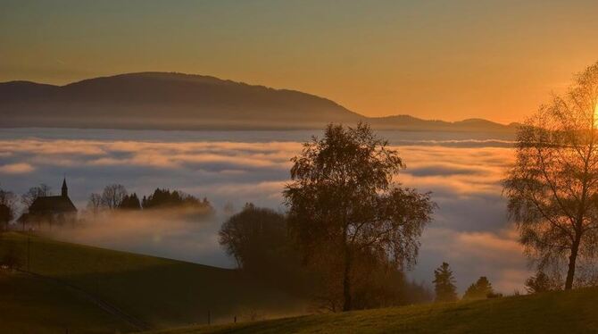Nicht nur eine wunderschöne Landschaft, sondern auch leckere Spezialitäten charakterisieren den Schwarzwald.
