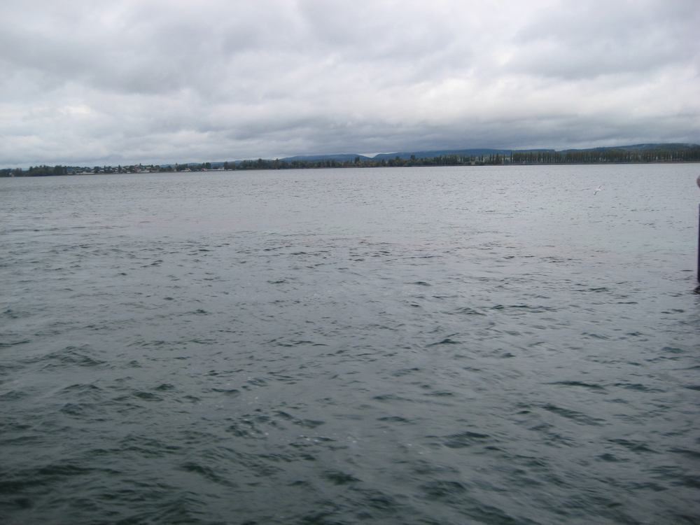 Papstwahl vor 600 Jahren Konzil Konstanz