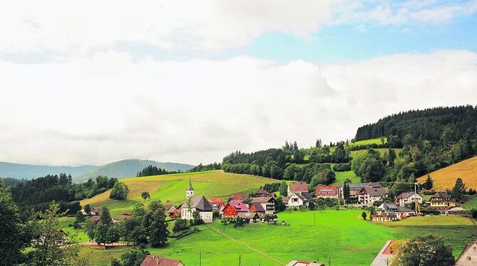 Sanfte Hügel, ausgedehnte Wälder: Die Landesregierung will im Nordschwarzwald einen Nationalpark ausweisen. FOTO: BENGEL
