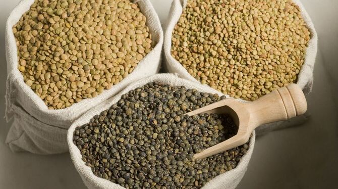 Dreierlei Linsen, die alle auf der Alb wachsen. Mit der schönen grünen Anicia, einer franzöischen Puy-Linse, begann die Erfolgsg