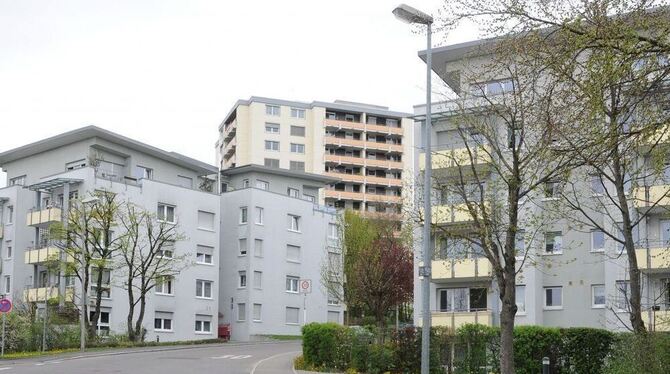 Wildermuth-Siedlung im Wandel: Vom Nachkriegs-Wohnviertel ist wenig übrig gebleiben. GEA-FOTO: MEYER Wildermuth-Siedlung im Wandel: Vom Nachkriegs-Wohnviertel ist wenig übrig gebleiben. GEA-FOTO: MEYER