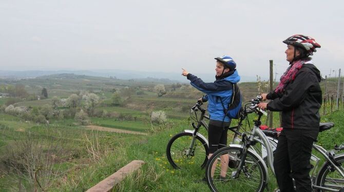Radeln am Rebhang. Mit dem E-Bike auch ein Vergnügen für weniger sportliche Zeitgenossen. GEA-Foto: oel