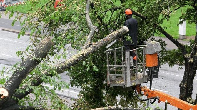 Arbeiter zersägen auf der Helgoländer Allee in Hamburg einen umgestürzten Baum, der auf die Straße zu stürzen drohte. Foto: B