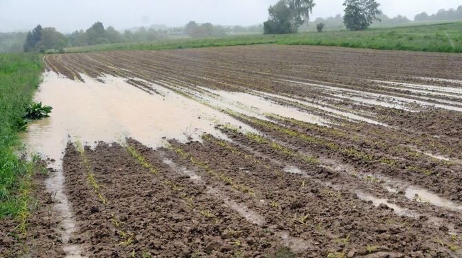 Erdreich gesättigt: Wasser steht auf einem Acker am Georgenberg unweit der Markungsgrenze zwischen Reutlingen und Pfullingen. G Erdreich gesättigt: Wasser steht auf einem Acker am Georgenberg unweit der Markungsgrenze zwischen Reutlingen und Pfullingen. G