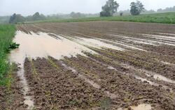 Erdreich gesättigt: Wasser steht auf einem Acker am Georgenberg unweit der Markungsgrenze zwischen Reutlingen und Pfullingen.  G