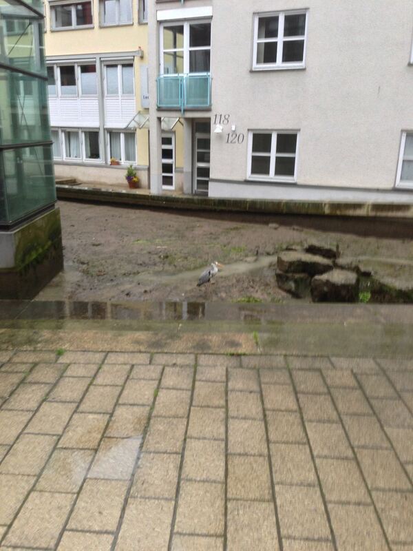 Hochwasser in Reutlingen
