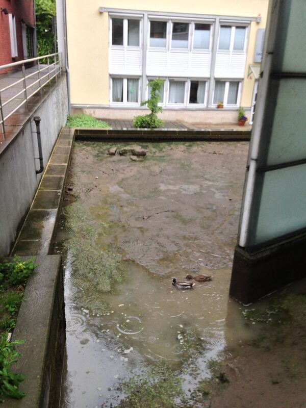 Hochwasser in Reutlingen
