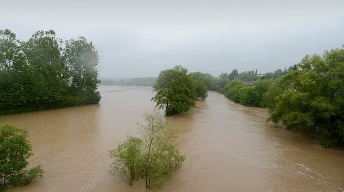 Neckar-Hochwasser bei Mittelstadt.