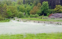 Aus der Holzlagerstätte einer Baufirma bei Mägerkingen wurden einzelne Baumstämme abgetrieben.