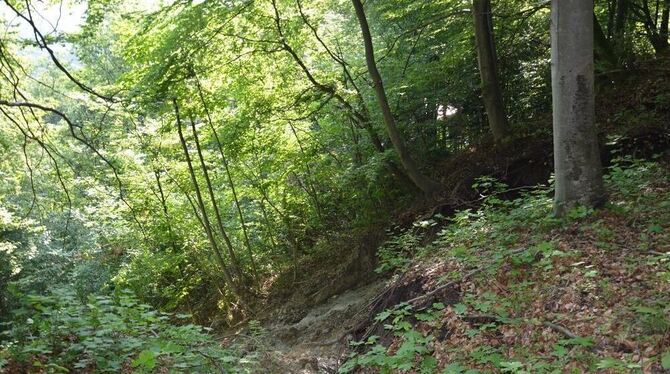 Der Hang ist in Bewegung. FOTO: US