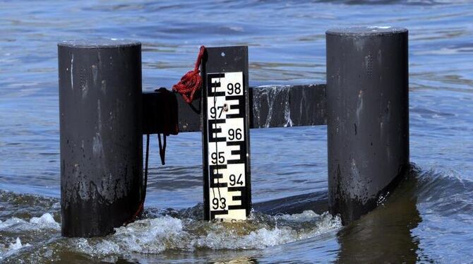Werte um 9,30 Meter zeigt der Pegel in Hohnstorf gegenüber von Lauenburg in Schleswig-Holstein. Foto: Carsten Rehder