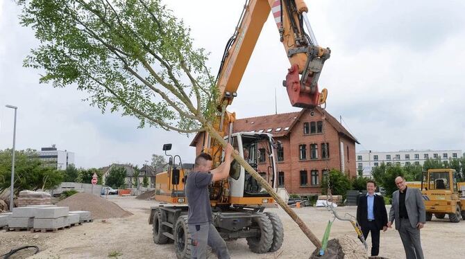 Bauleiter Urs Müller-Meßner und Stadthallen-Projektleiter Klaus Kessler (mit Sakkos, von links) sind wachen Auges dabei, als Mit Bauleiter Urs Müller-Meßner und Stadthallen-Projektleiter Klaus Kessler (mit Sakkos, von links) sind wachen Auges dabei, als Mit