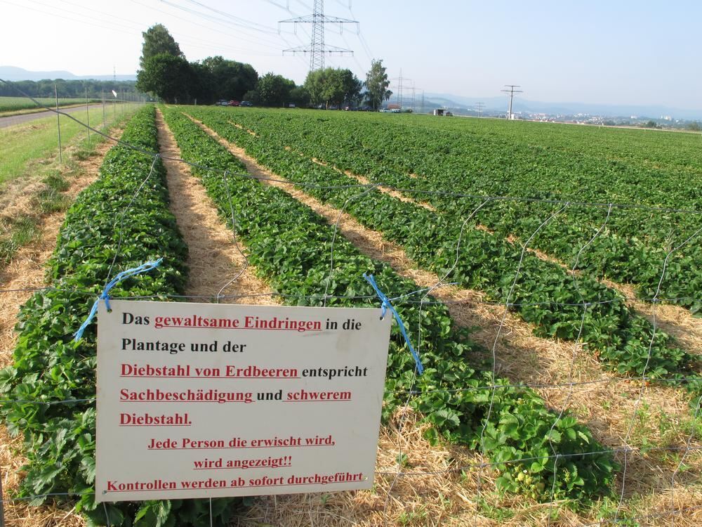 Jubiläumstour Juni 2013