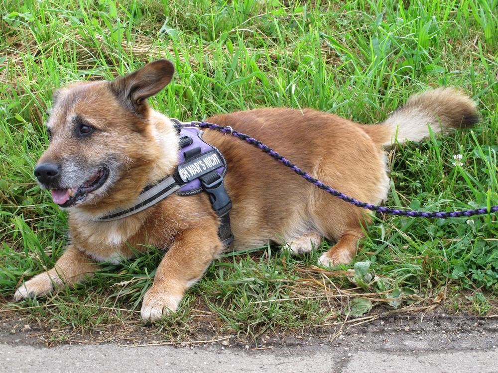 Jubiläumstour Juni 2013