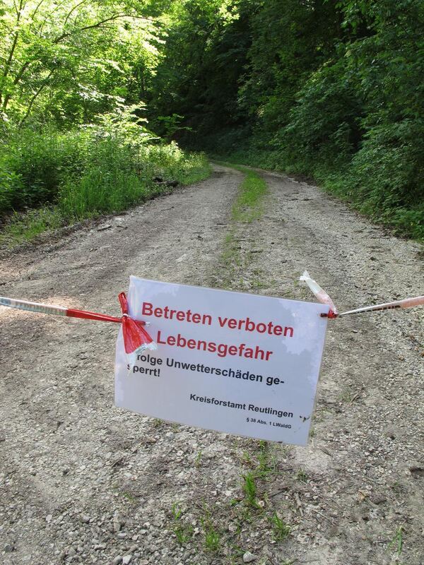 Jubiläumstour Juni 2013