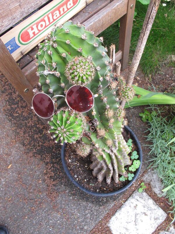 Jubiläumstour Juni 2013