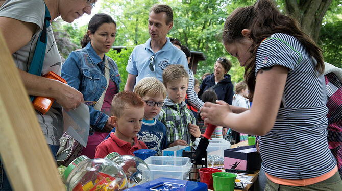 Die Stadt spielt in Reutlingen 2013