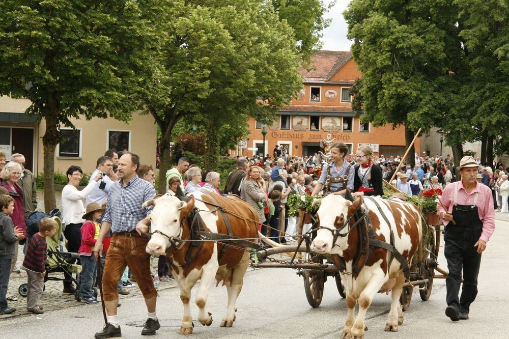 75 Jahre Musikverein Mehrstetten 2013