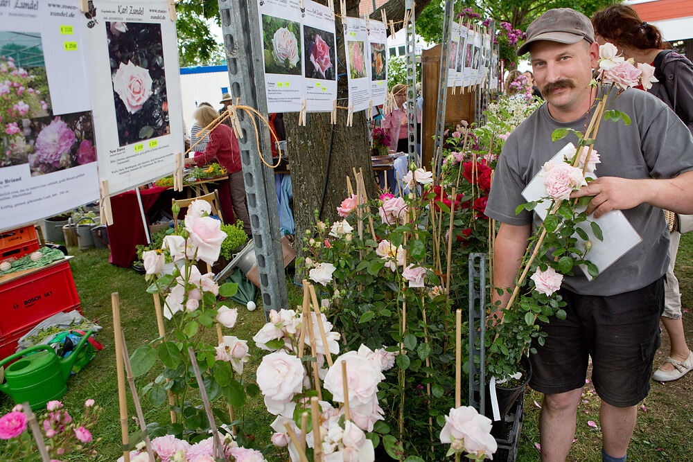 Rosenmarkt in Mössingen 2013