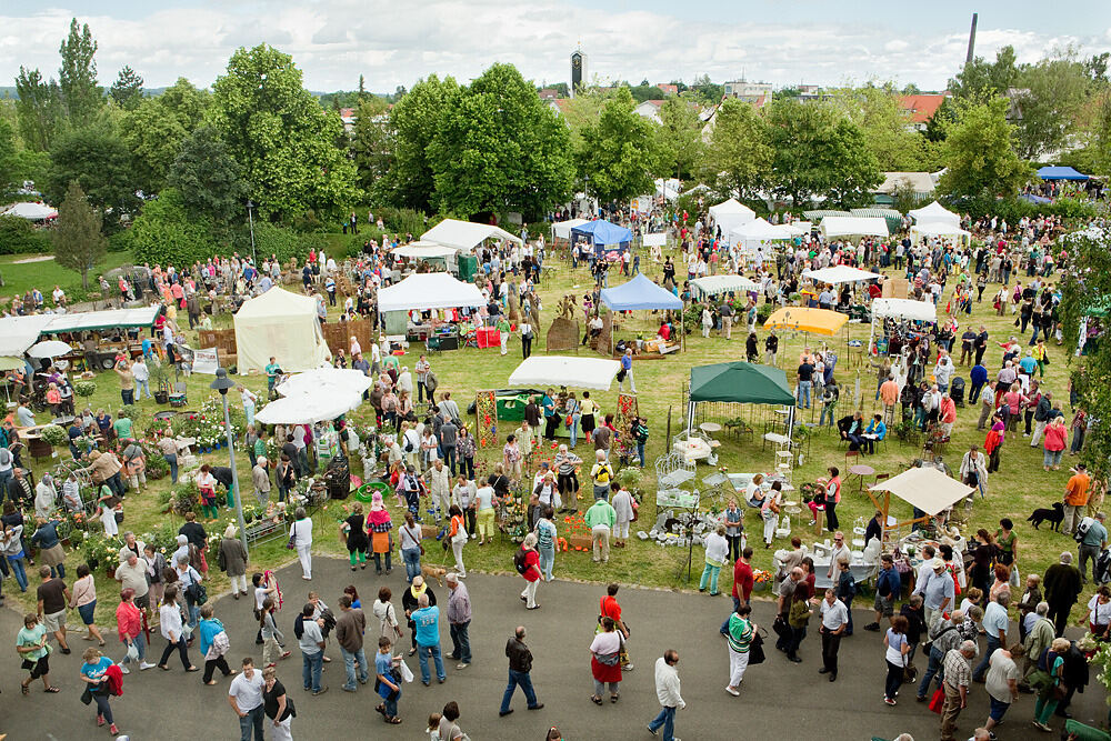 Rosenmarkt in Mössingen 2013