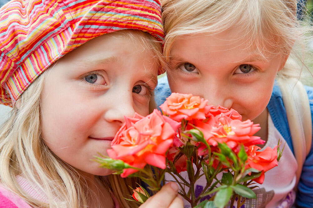 Rosenmarkt in Mössingen 2013