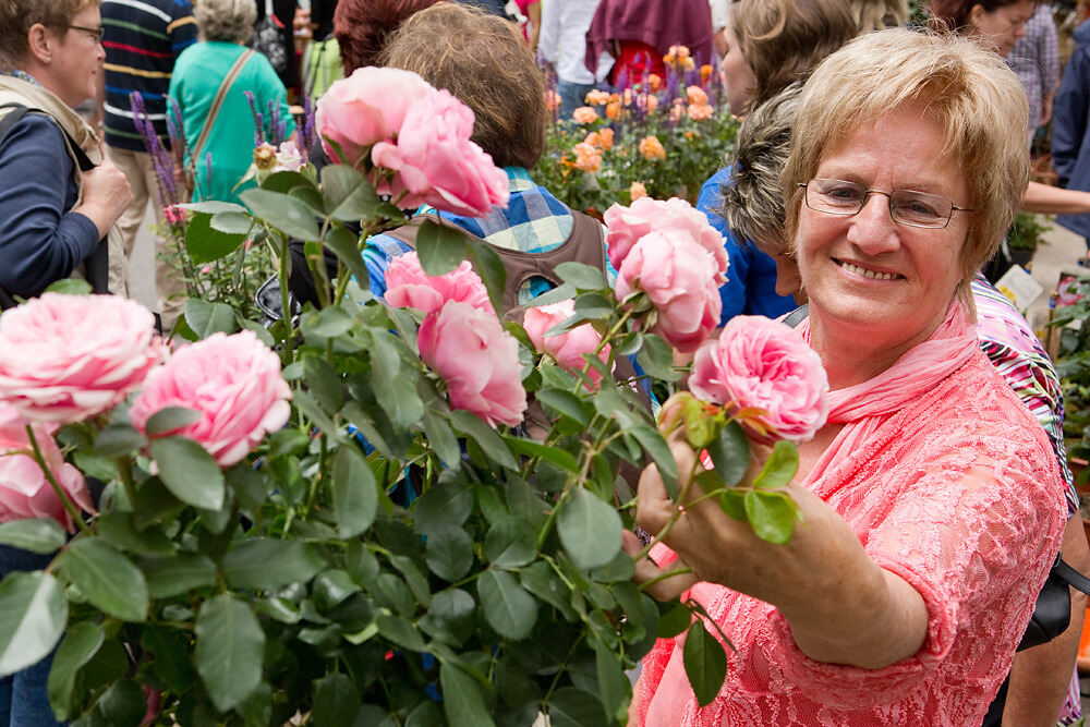 Rosenmarkt in Mössingen 2013