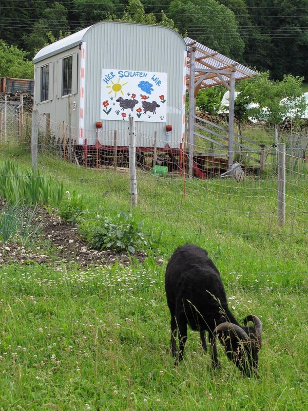 Jubiläumstour Juni 2013