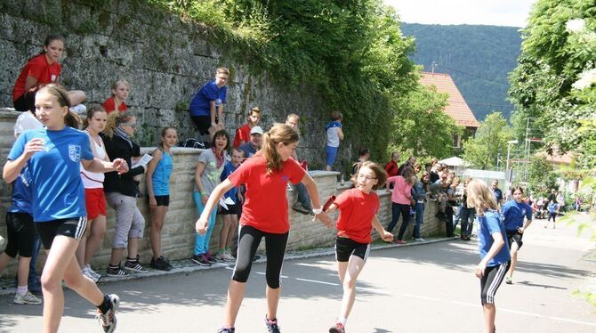 Lichtensteinlauf 2013